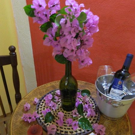 Bicho Do Mato Suites Guapimirim Luaran gambar