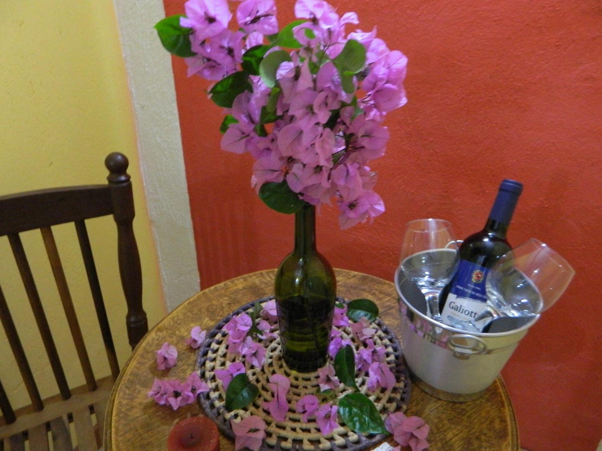 Bicho Do Mato Suites Guapimirim Luaran gambar