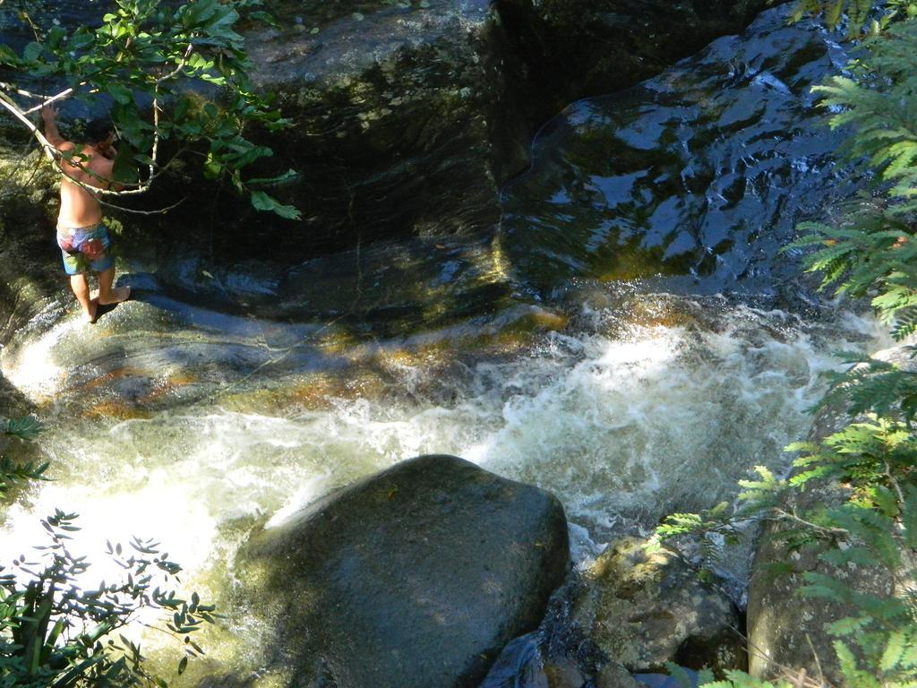 Bicho Do Mato Suites Guapimirim Luaran gambar