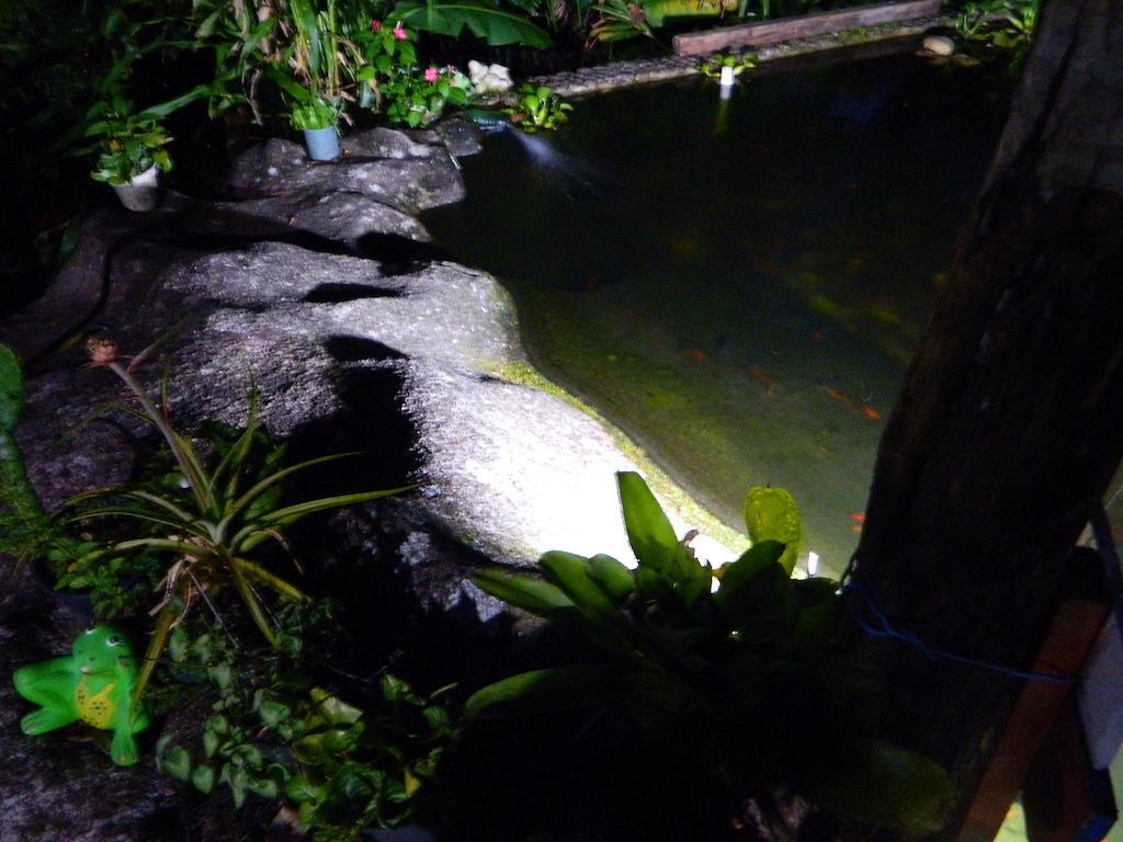 Bicho Do Mato Suites Guapimirim Luaran gambar