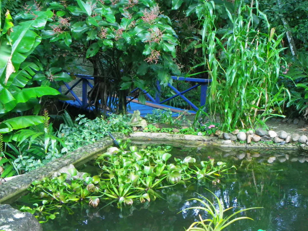 Bicho Do Mato Suites Guapimirim Luaran gambar