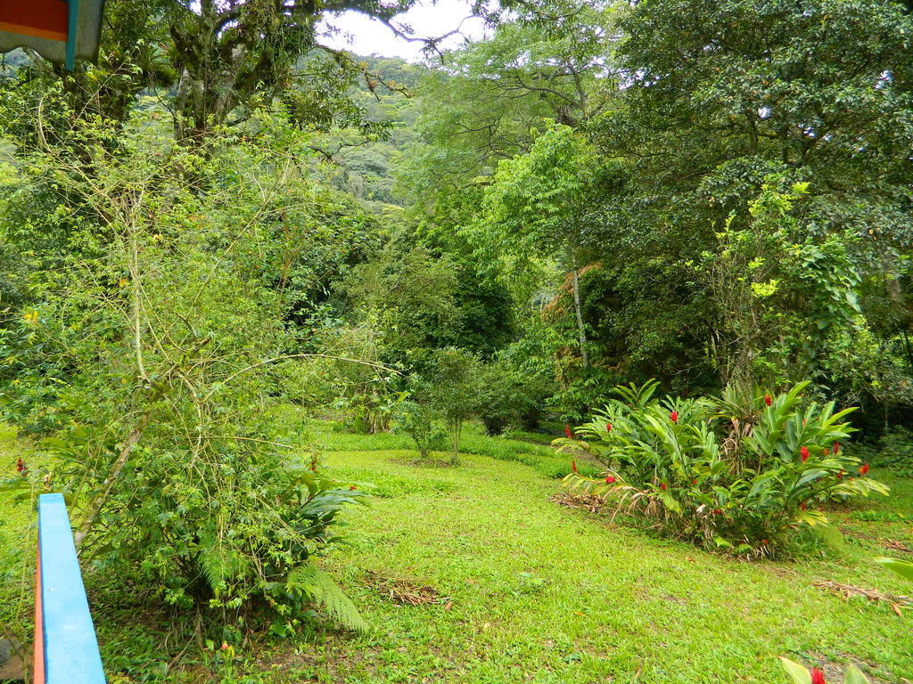 Bicho Do Mato Suites Guapimirim Luaran gambar